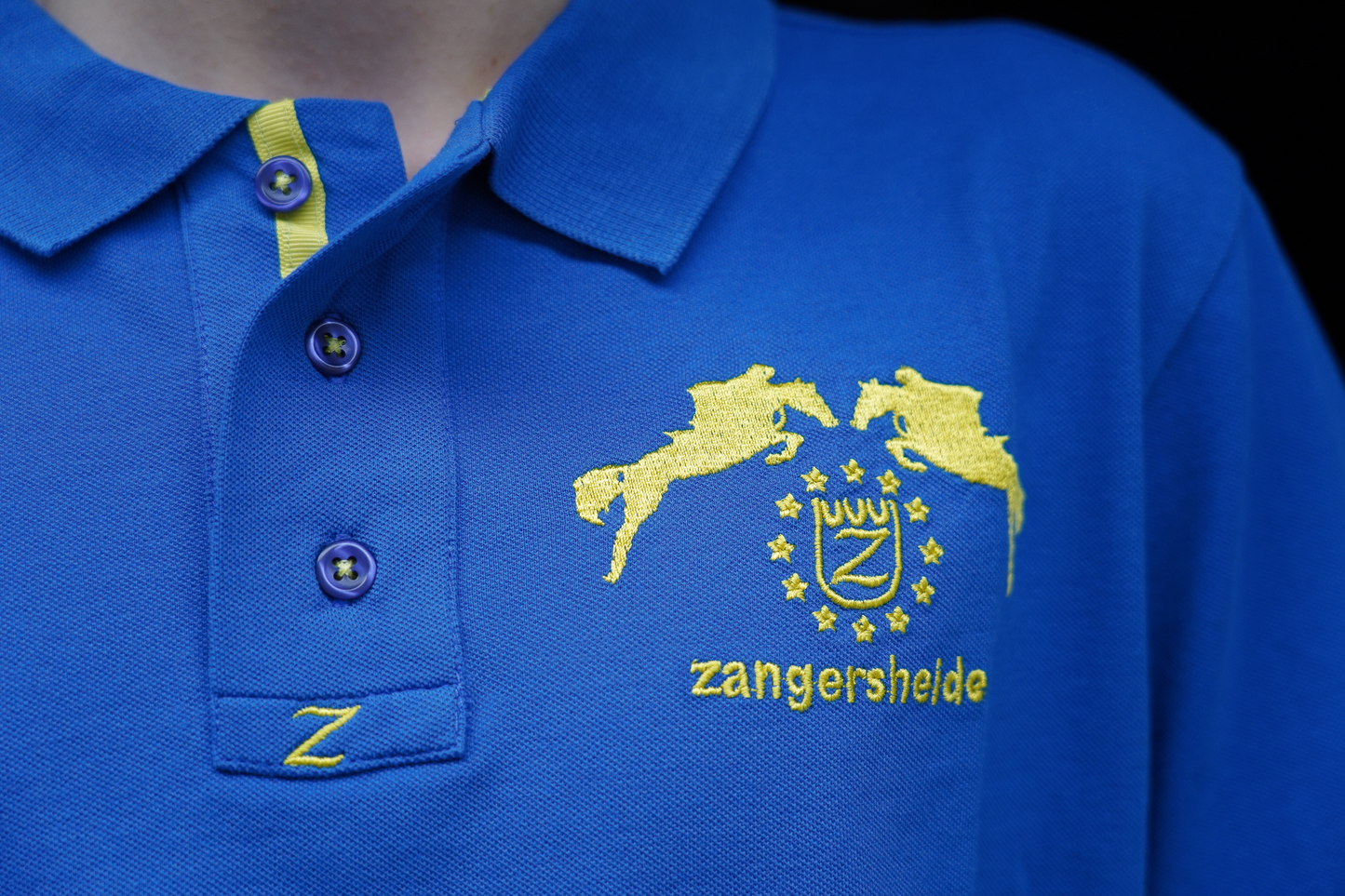 Polo Homme