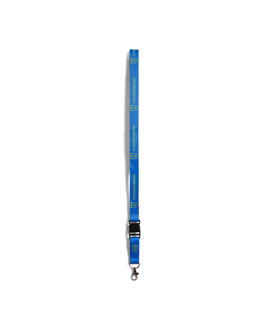 Lanyard